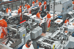 Odoo - Prueba 3 a tres columnas