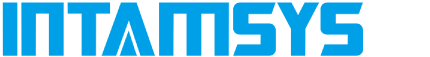 distribuidor-intamsys-mexico-cadavshmeip